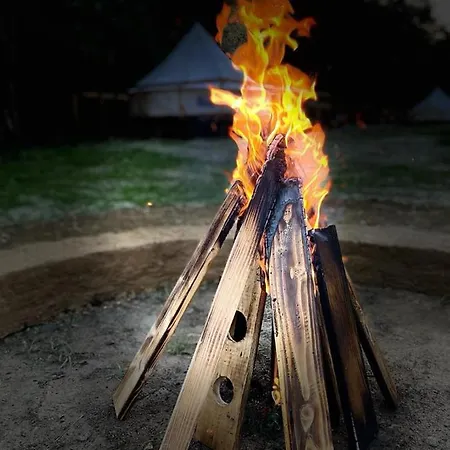 Forest Glamping Brașov