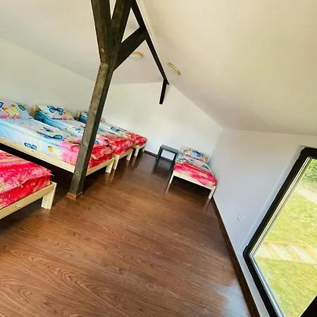 Cort de lux Forest Glamping *
