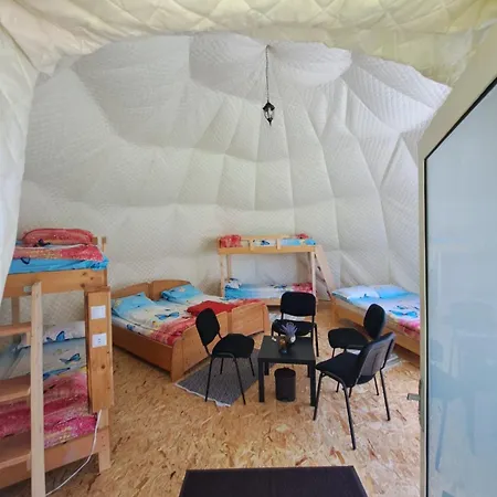 Forest Glamping *