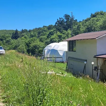 Forest Glamping