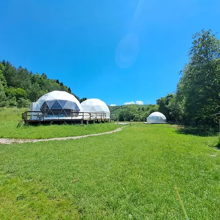 Forest Glamping
