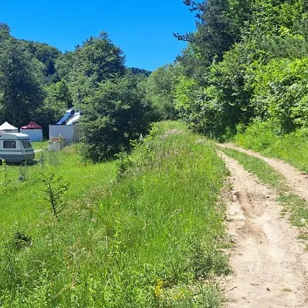 Cort de lux Forest Glamping *
