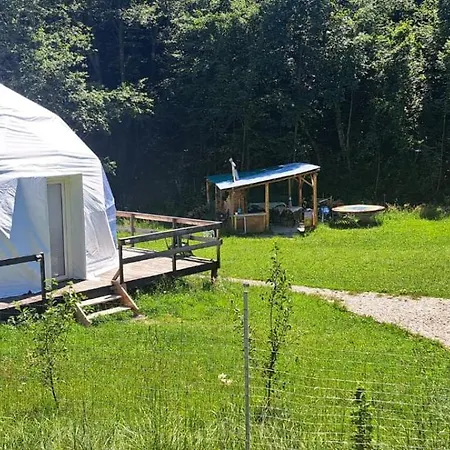 Forest Glamping *