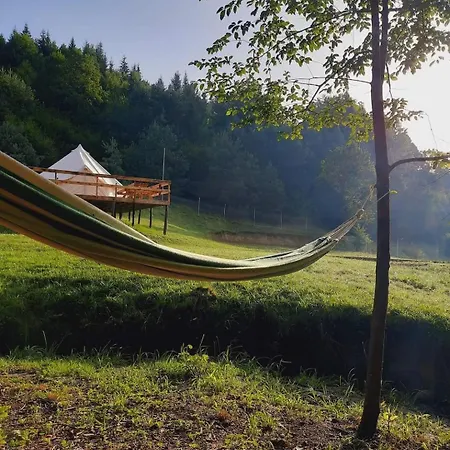 Forest Glamping