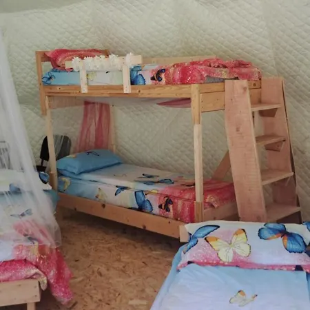 Forest Glamping Brașov