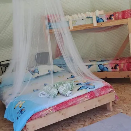 Forest Glamping