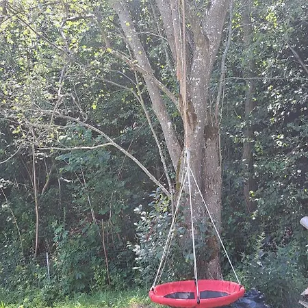 Forest Glamping * Brașov