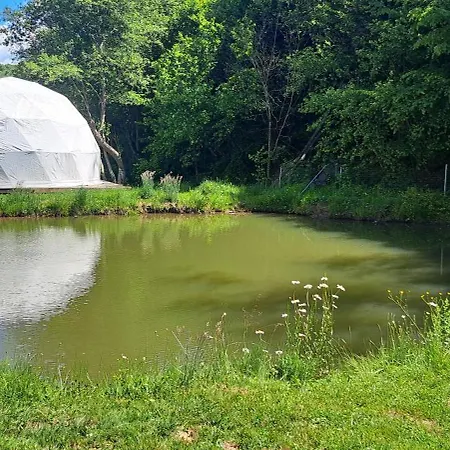 Cort de lux Forest Glamping