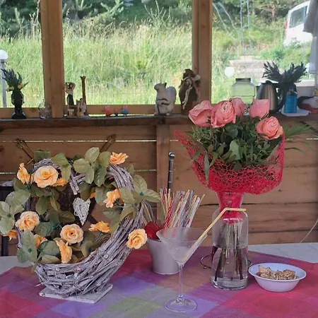 Forest Glamping Cort de lux *