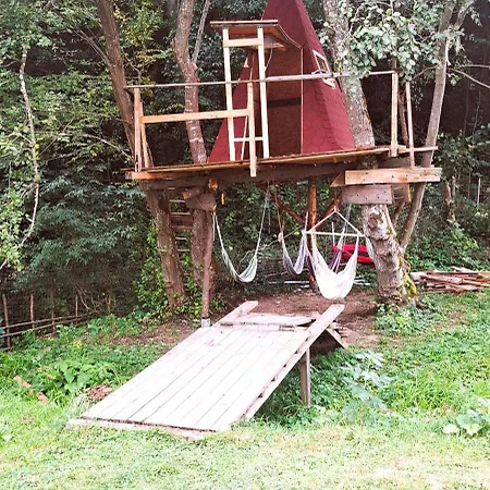 Forest Glamping Brașov